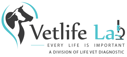 Vetlife Lab