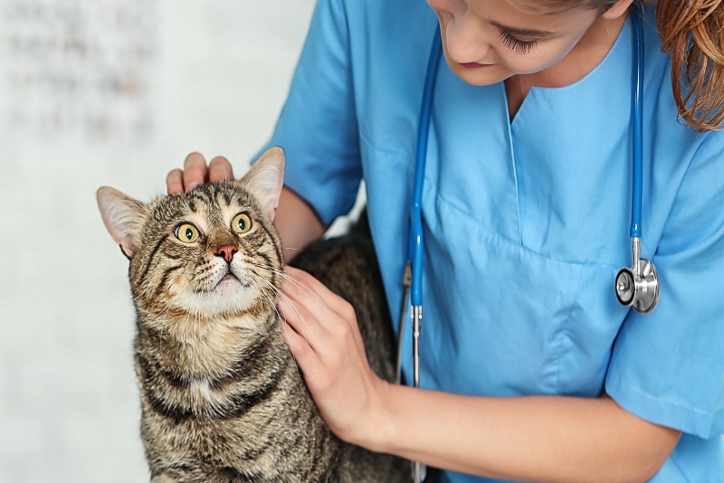 Lab Test and Research Center Meerut NCR